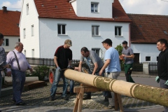 Maibaum 2014