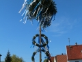 maibaum-2017img_6336